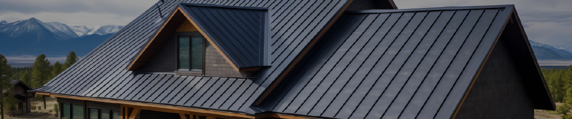 Metal Roofing