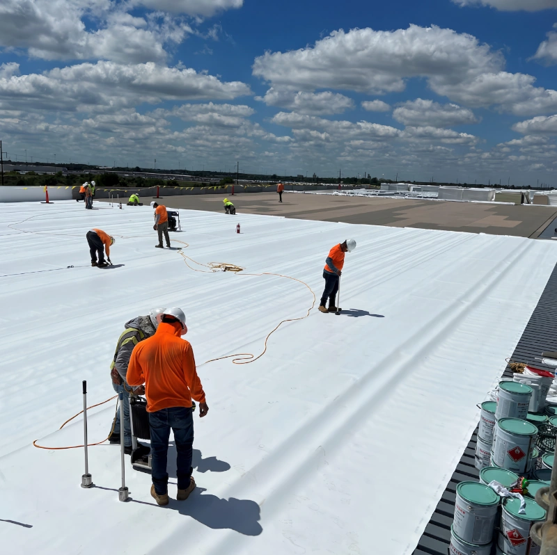 Rc Contractor LLC